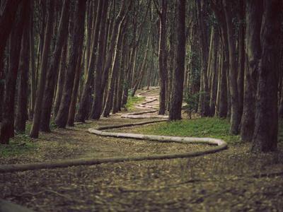 Conversational Arabic for Beginners