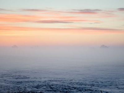 Free Community Cleanup Drive